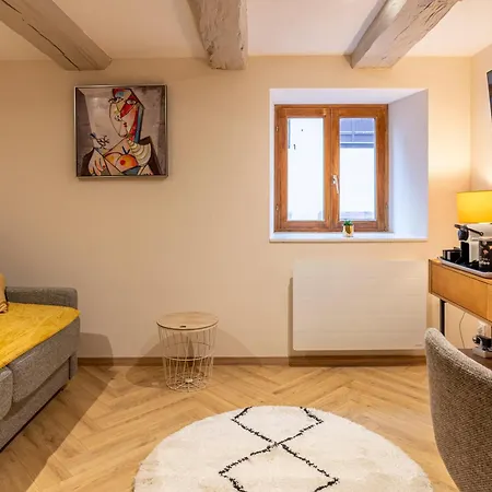 Apartment Petit Pour 2 Personnes Au Coeur De Selestat